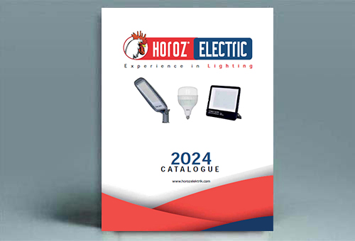 2024 (1)